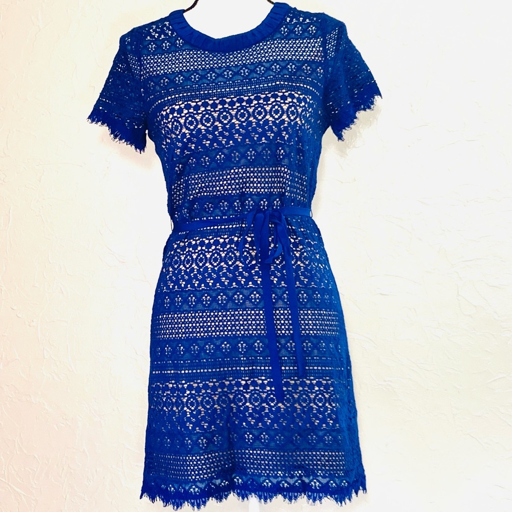 BCBGMaxazria Darlita deep Royal blue lace sheath cocktail dress 2P